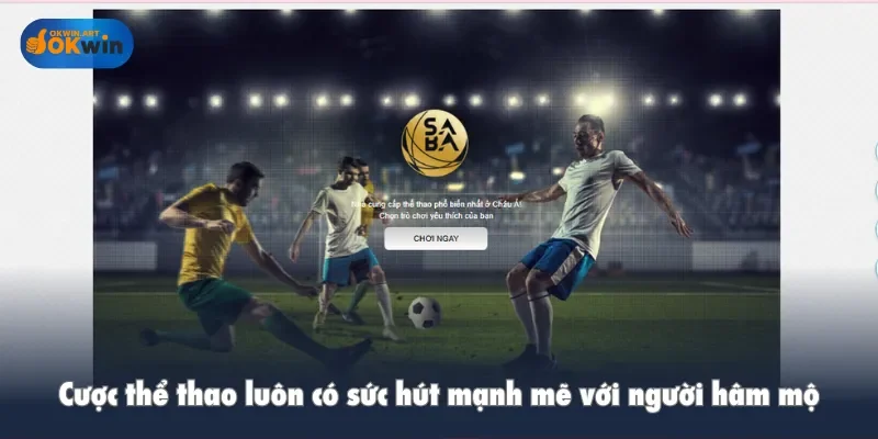 Cược thể thao luôn có sức hút mạnh mẽ với người hâm mộ