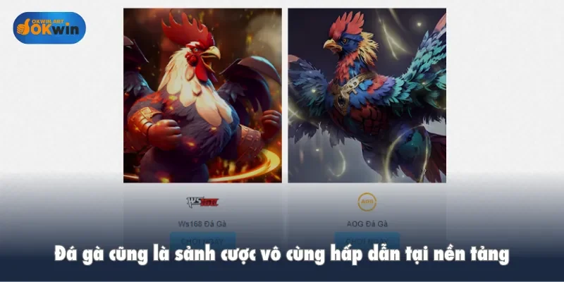 Đá gà cũng là sảnh cược vô cùng hấp dẫn tại nền tảng